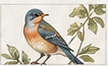 A finished painting of a bluebird among leaves