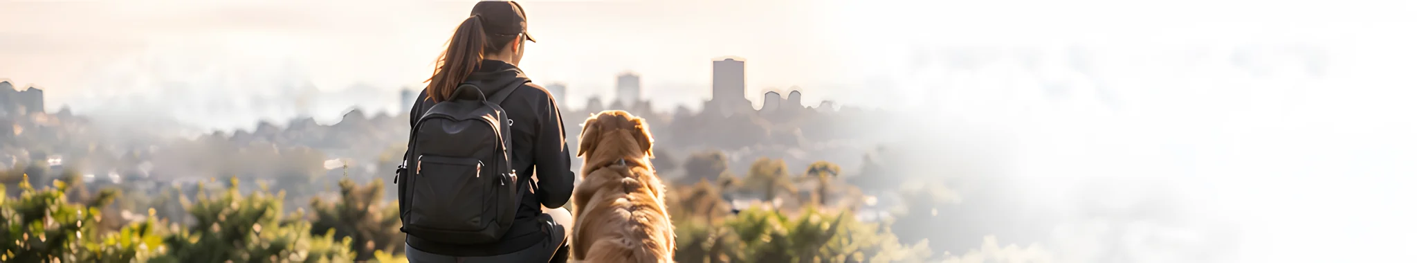 A pet sitter with a backpack sits beside a golden retriever, looking out over the city